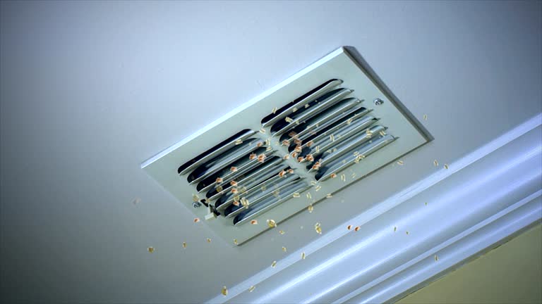 Best Best Air Duct Cleaning Company  in Olivehurst, CA