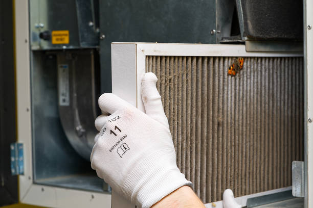 Best Emergency Air Duct Cleaning  in Olivehurst, CA
