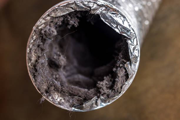 Best Air Duct Cleaning Near Me  in Olivehurst, CA